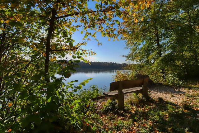 更加自由选 更加自由选