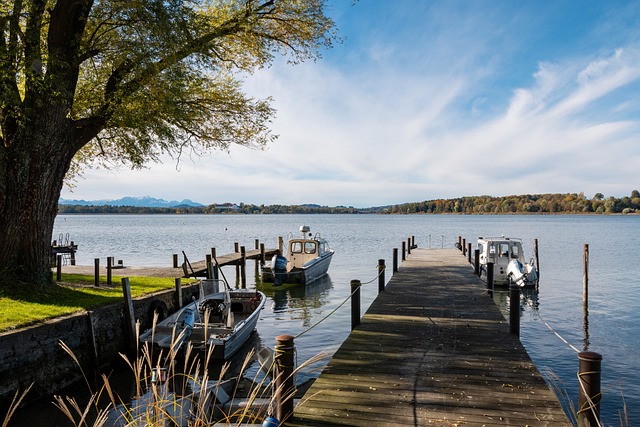 希望之星 希望之星