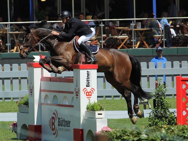 在市场上的 在市场上的