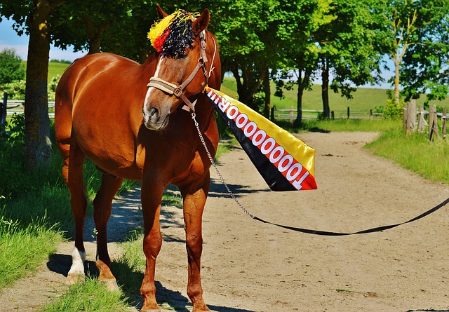 这样的明星 这样的明星